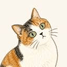 Favicon of CatDays