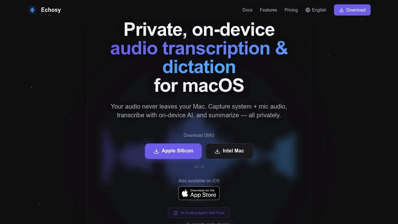 Echosy product screenshot - Private offline transcription for macOS with on-device AI